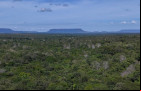  Jalapão vista aérea proxima da Cachoeira da Formiga.