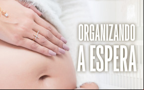 Capa Organizando a espera
