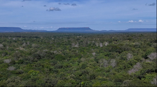  Jalapão vista aérea proxima da Cachoeira da Formiga.
